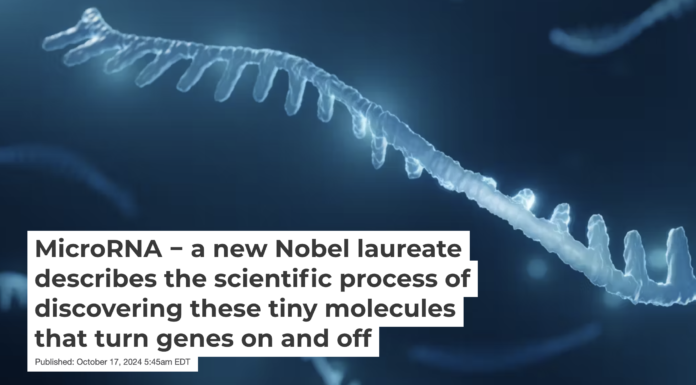 A microRNA molecule is a tiny regulator of other genetic material. Artur Plawgo/iStock via Getty Images Plus